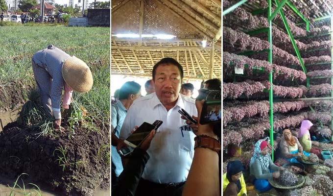 8.500 Hektar Lahan Bawang Merah di Enrekang Dukung Pasokan untuk KTI